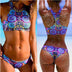 New Low Waist Triangle Bikinis High Neck Brazilian Swimwear Swimsuit Swimsuit Bikini Set Brazilian Beachwear Biquini
